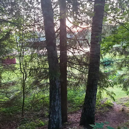 Uniq Homestay szállás *